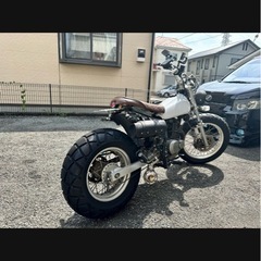スズキの画像