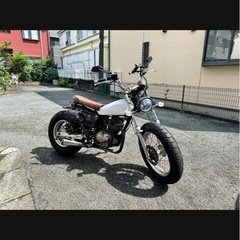 スズキの画像