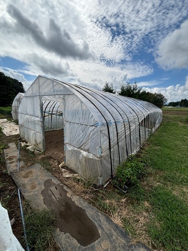 値下げビニールハウス、1棟7万円にしました