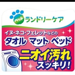 ペット用　洗剤の画像