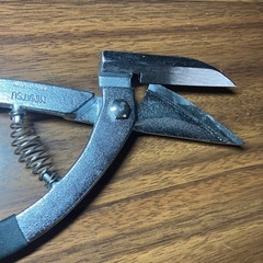 メタスパ　Sタイプ　250ミリの画像