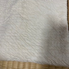 Air Hotインナー2枚セットの画像
