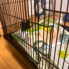 ハムスターゲージの画像