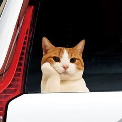 ハチワレ猫ステッカーの画像