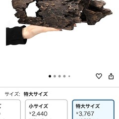 爬虫類 両生類 隠れ家 シェルター オブジェ 大の画像
