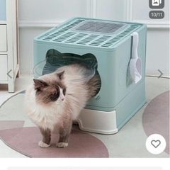 猫トイレの画像