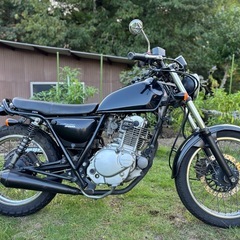 グラストラッカー 250の画像