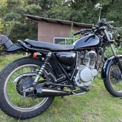 グラストラッカー 250の画像