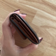 ルイヴィトン小銭入れの画像