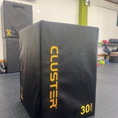 新品 プライオボックス(CLUSTER)