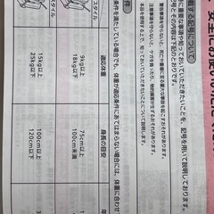 ジュニアシートの画像