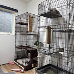 【交渉中】大型　キャットゲージ　の画像