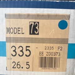 【ジャンク品】スキー スキーブーツの画像