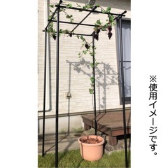 園芸　フルーツ棚　未使用　ぶどう　キウイ　フルーツ栽培　シャインマスカット　家庭菜園の画像