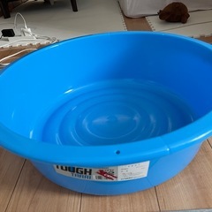タライの画像