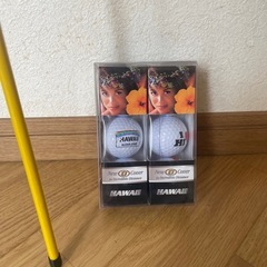 ツアースティック　１本　新品ゴルフボール6球付きの画像