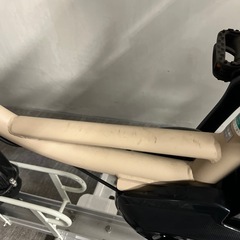 ペットカゴ付き電動自転車の画像