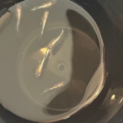 3色体外光めだかメダカの画像