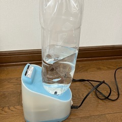 ペットボトル加湿器の画像