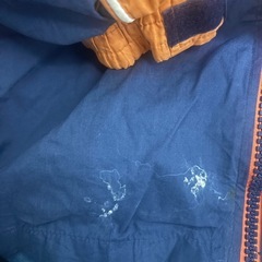 デトロイト・タイガースの画像