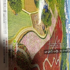 国営ひたち海浜公園乗り物フリーパスチケット２枚セットの画像