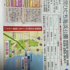 国営ひたち海浜公園乗り物フリーパスチケット２枚セットの画像