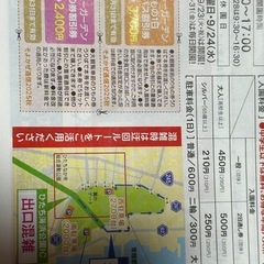 国営ひたち海浜公園乗り物フリーパスチケット２枚セットの画像