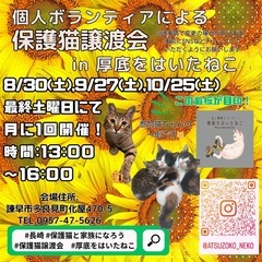 長崎の個人ボランティアによる保護猫譲渡会