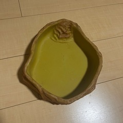 水入れ　爬虫類用の画像