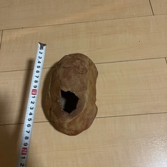 シェルターの画像