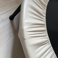 トランポリンわんこいワンコイン大人から子供までokokの画像