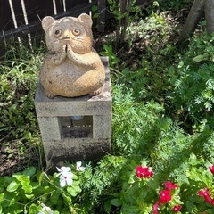 ボカロバンドでボーカルがやりたい！