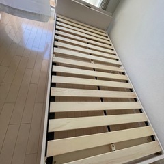 期間限定の画像