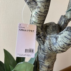 フェイクグリーンの画像