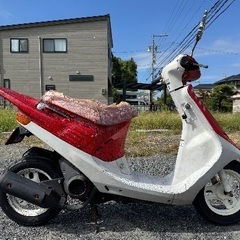 🌟即ノリ🌟HONDA Dio (AF18)愛知県一宮市の画像