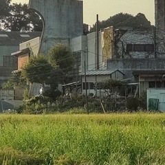 柏市藤ケ谷⭐︎3K＋コンテナハウス＋倉庫2個DIY自由！　戸建賃貸