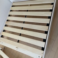 期間限定の画像