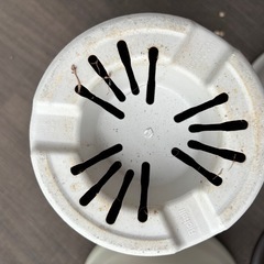 鉢、水受けセットの画像