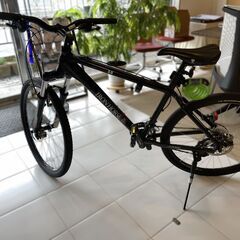 MTB アイアンホース　ウォーリアー3.0の画像