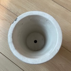 鉢　の画像