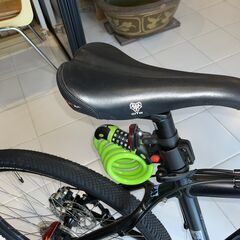 MTB アイアンホース　ウォーリアー3.0の画像