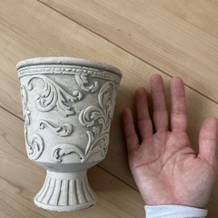 鉢　の画像