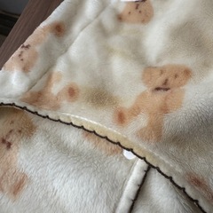 【10/19まで掲載】秋冬用ペットフリースベストの画像