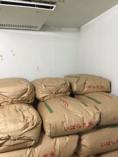 新米　コシヒカリ