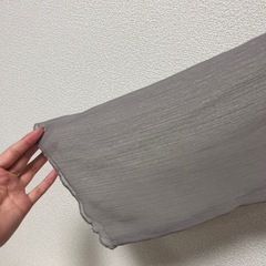 シアーブラウスの画像