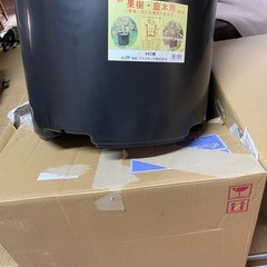 未使用　新品　大型　植木鉢　お早めに　植替えににの画像