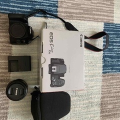 Canon cameraの画像