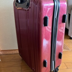 umbro スーツケースの画像