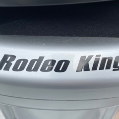 ロデオボーイ 乗馬マシン スライブ(Thrive) エクササイズ・フィットネス用品 の画像