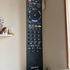SONY BRAVIA & テレビスタンドの画像